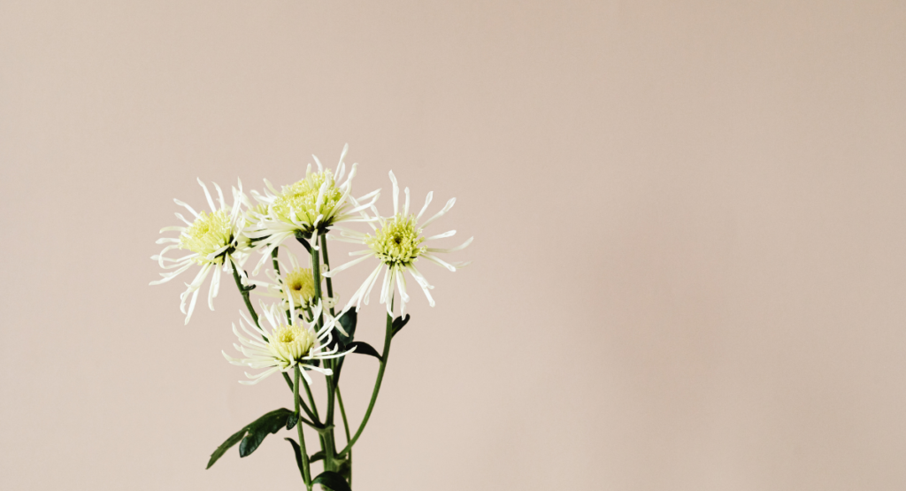 処分後も供養を続ける「手元供養」の形